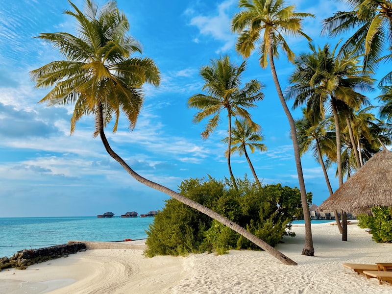 Pristine white sand beach in Diani, Kenya